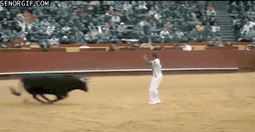 Like A Boss Matador GIF