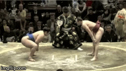 Like A Boss Sumo Wrestling GIF