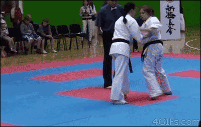 Like A Boss Taekwondo Moves GIF