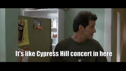 Like Cypress Hill Concert In Here Grandmas Boy GIF