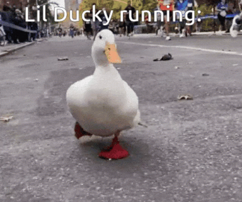 Lil Ducky Running Race GIF