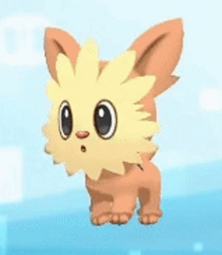 Lillipup Animated Dog GIF