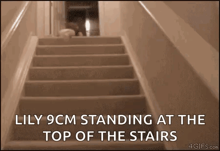 Lily 9cm Standing at Top of Stairs