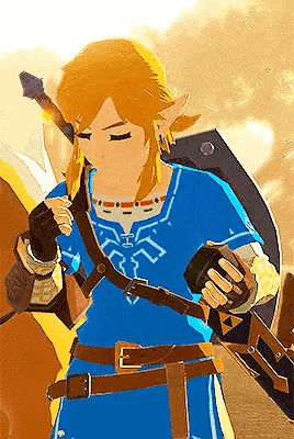 Link From Legend of Zelda Holding Sword and Shield