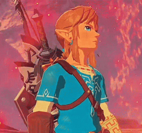 Link Legend Of Zelda Sword Warrior Looking Around GIF