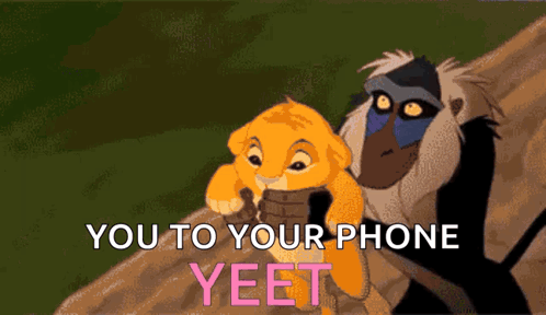 Lion and Baboon From Lion King Yeet