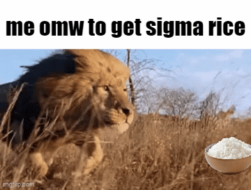 Lion And Bowl Of Rice GIF