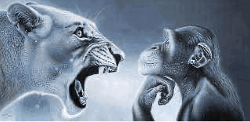 Lion and Chimpanzee with Open Mouths