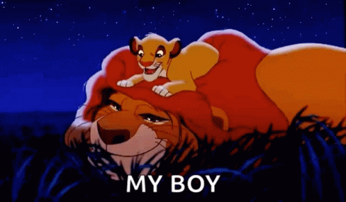 Lion And Cub From Lion King Laying In Grass Saying My Boy GIF