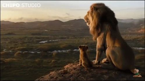 Lion and Cub Sitting on Rock Looking at Each Other