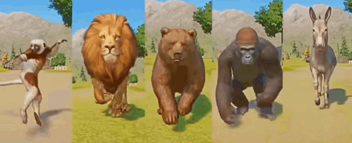 Lion, Bear, Gorilla, Donkey And Monkey Running GIF