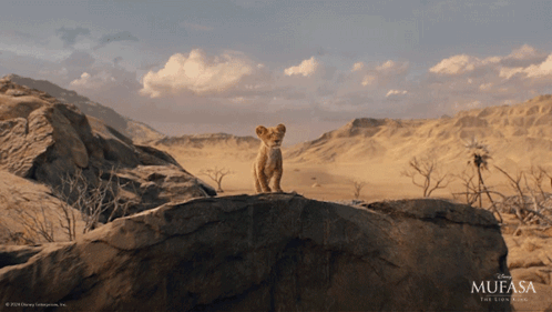 Lion Cub on Rock in Desert With Mufasa Logo