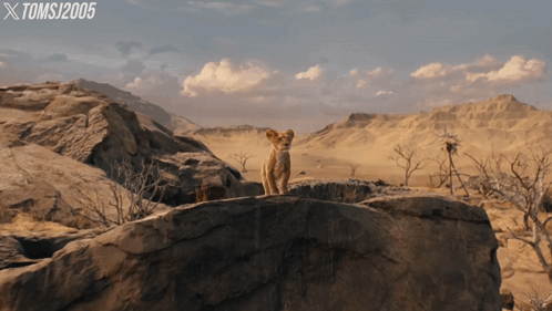 Lion Cub Standing On Rock With Toms J2005 Logo GIF