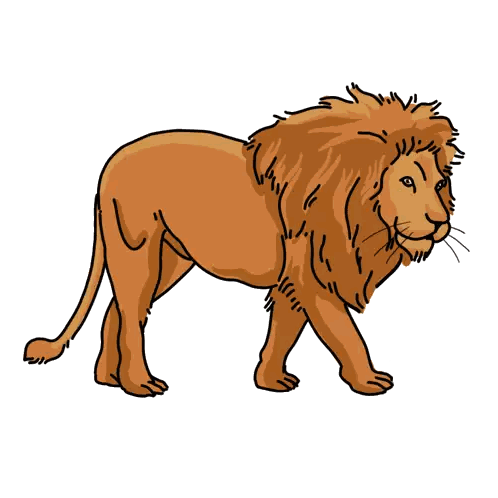 Lion Drawing with Long Mane