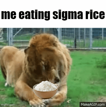 Lion Eating Bowl Of Rice GIF