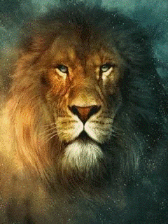 Lion Face With Blue Eyes