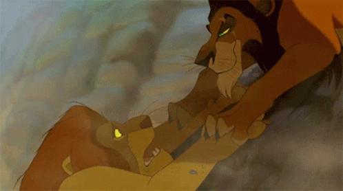Lion Fighting Yellow-Eyed Lion GIF