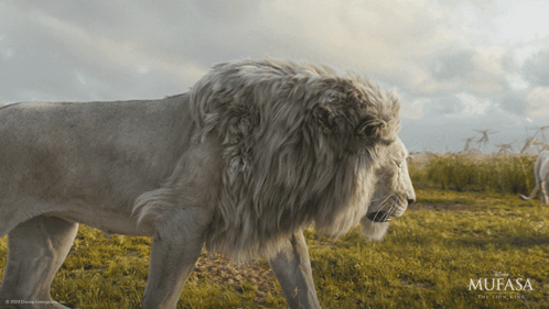 Lion from Mufasa Movie