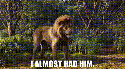 Lion In Forest Saying I Almost Had Him GIF