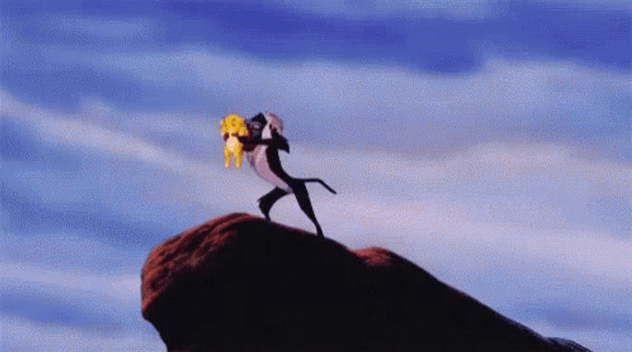 Lion King Lifting Scene Circle Of Life  GIF