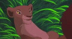Lion King Meme Can You Feel The Love GIF