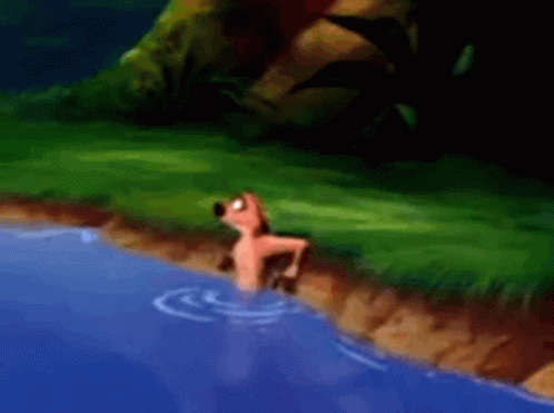 Lion King Timon Meerkat I'm Out GIF