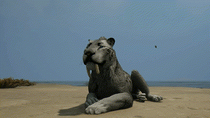 Lion Laying On Sand No No No GIF