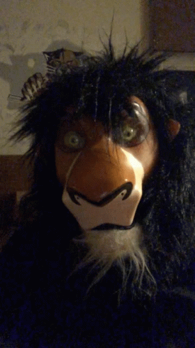 Lion Mask With Zebra Behind GIF