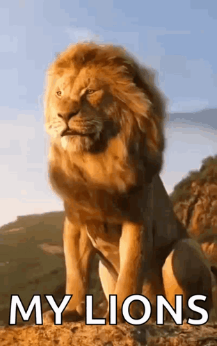 Lion on Hill Saying My Lions