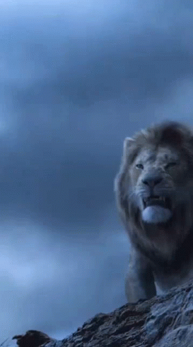 Lion Roar In Dark Clouds GIF