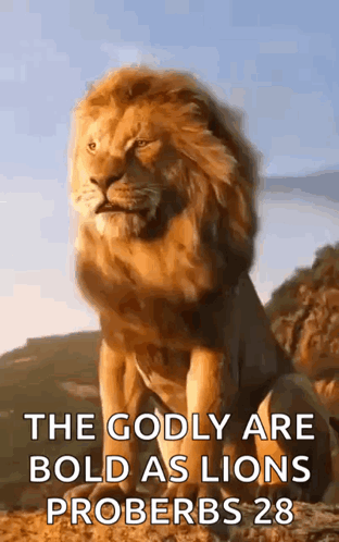 Lion Sitting On Hill With Proverbs 28 Quote GIF