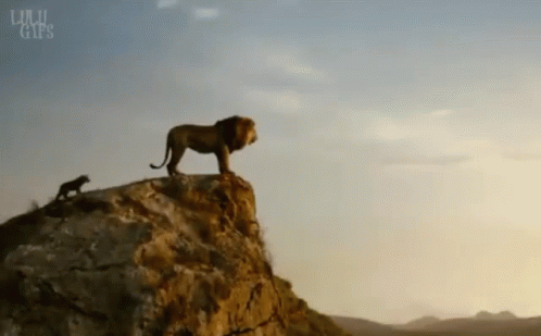 Lion Standing on Rocky Cliff With Cub