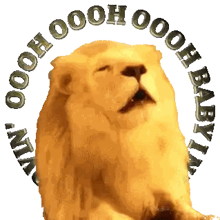 Lion Surrounded by Oooh Baby