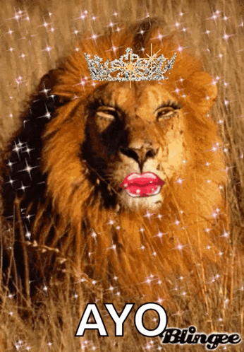 Lion With Crown Saying Ayo Bingee