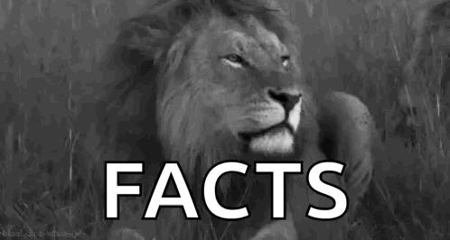 Lion with Facts Text