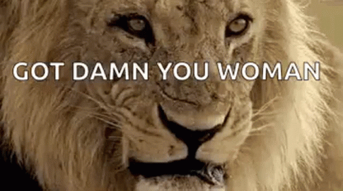 Lion With Got Damn You Woman