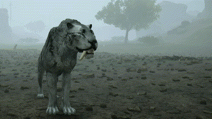 Lion With Tongue Out GIF