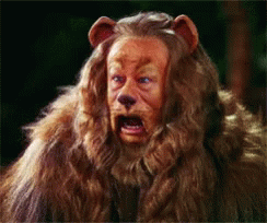 Lions Man Awkward Roaring GIF