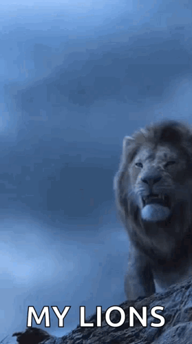 Lions Roaring For The Pride GIF