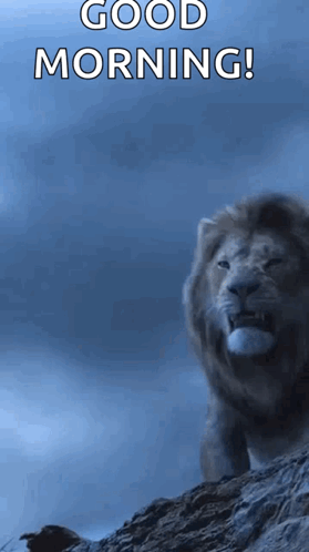 Lions Roaring Good Morning GIF