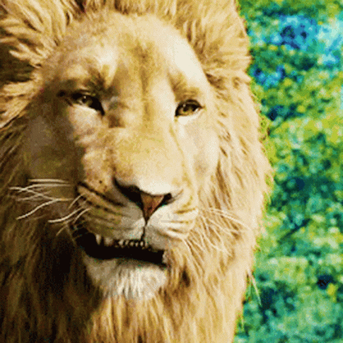 Lions Roaring In Every Inconvenience GIF