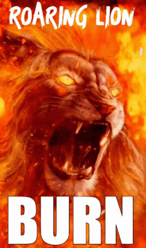 Lions Roaring On Fire GIF