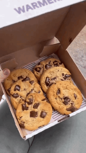Lip Smacking Choco Chip Cookies In Box GIF