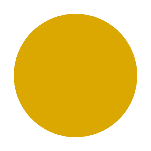 Lipse Logo in Black and Yellow