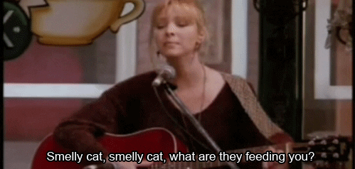 Lisa Kudrow Guitar Playing GIF