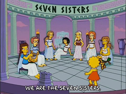 Lisa Meets 7 Sisters The Simpsons GIF