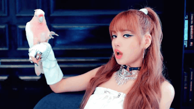 Lisa Of Blackpink Singing With Bird On Hand GIF