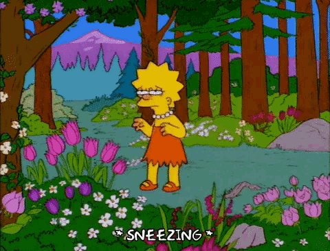 Lisa Simpson Sneezing GIF