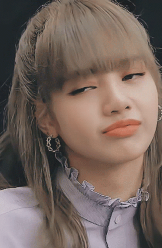 Lisa Sorry Its A No GIF