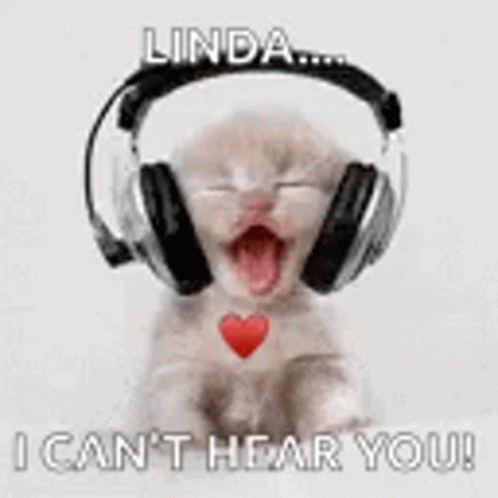 Listen Linda Cute Kitten Headphone GIF